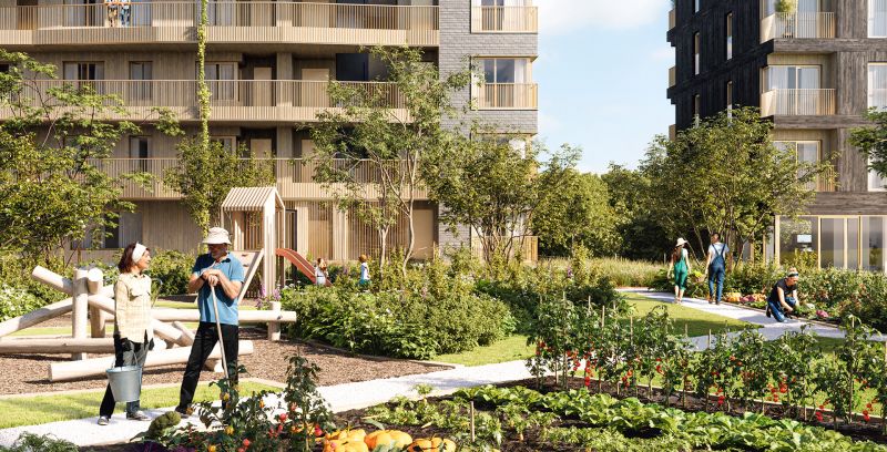 Potager urbain